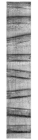 25х4 - 1( декоративная полоса )