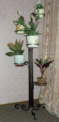 ПЦ5